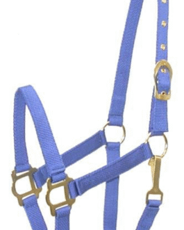 Gatsby Classic Nylon Halter with Snap