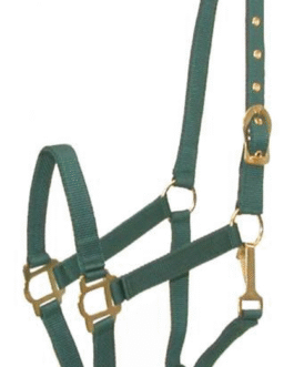 Gatsby Classic Nylon Halter with Snap