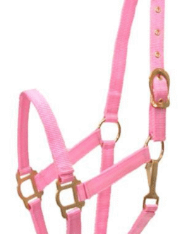 Gatsby Classic Nylon Halter with Snap
