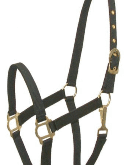 Gatsby Classic Nylon Halter With Snap