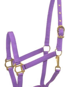 Gatsby Classic Nylon Halter With Snap